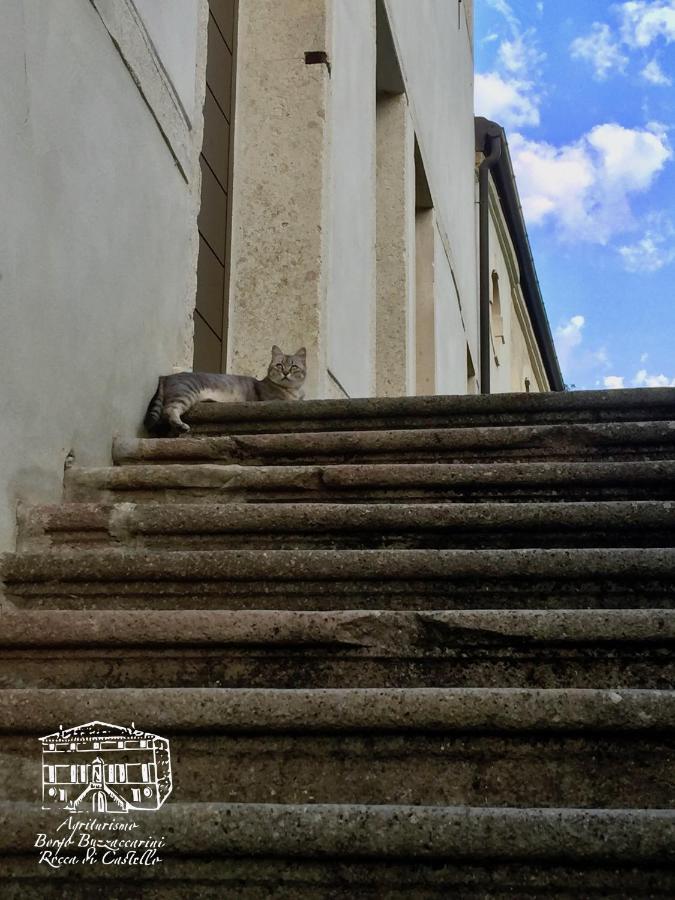 Agriturismo Borgo Buzzaccarini Rocca Di Castello Monselice Kültér fotó